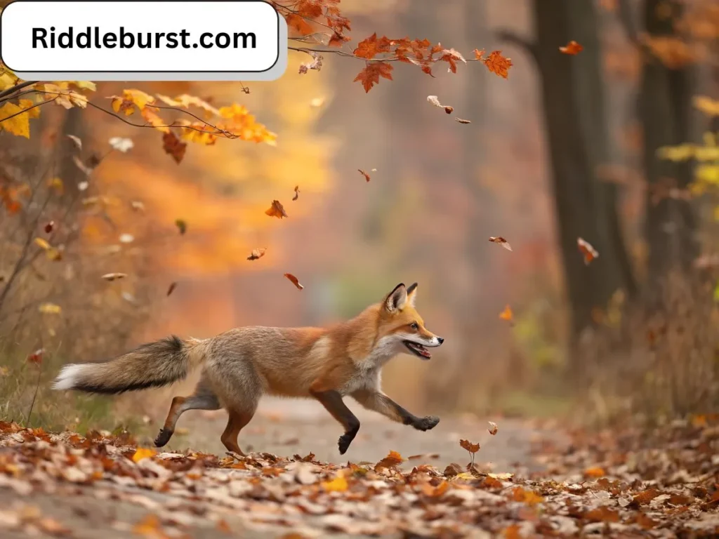 Animal Nature Riddles For Kids