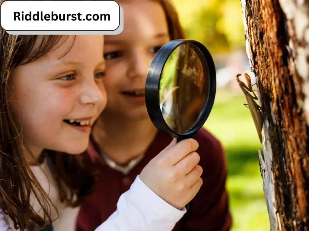 Insect Riddles For Kids