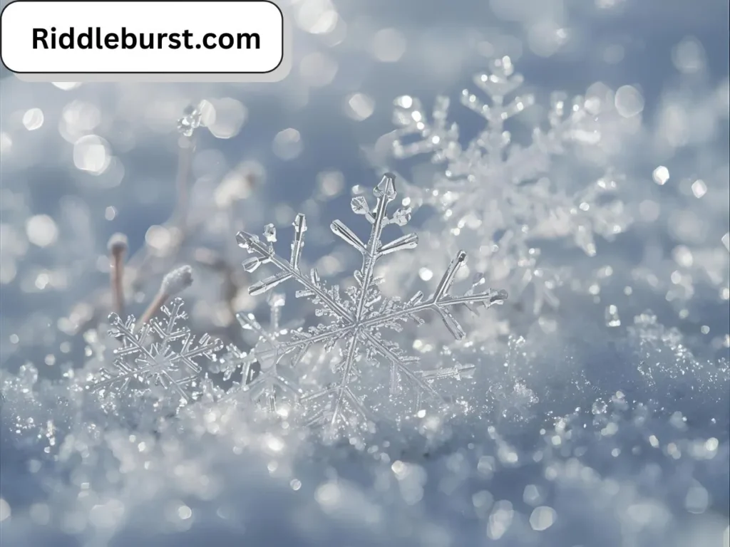Snowflake Riddles