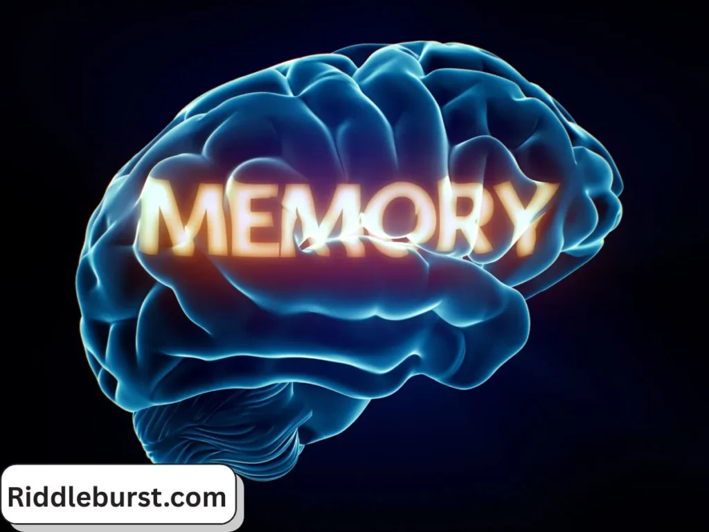 Brain Boosting Riddles for Sharpening Memory